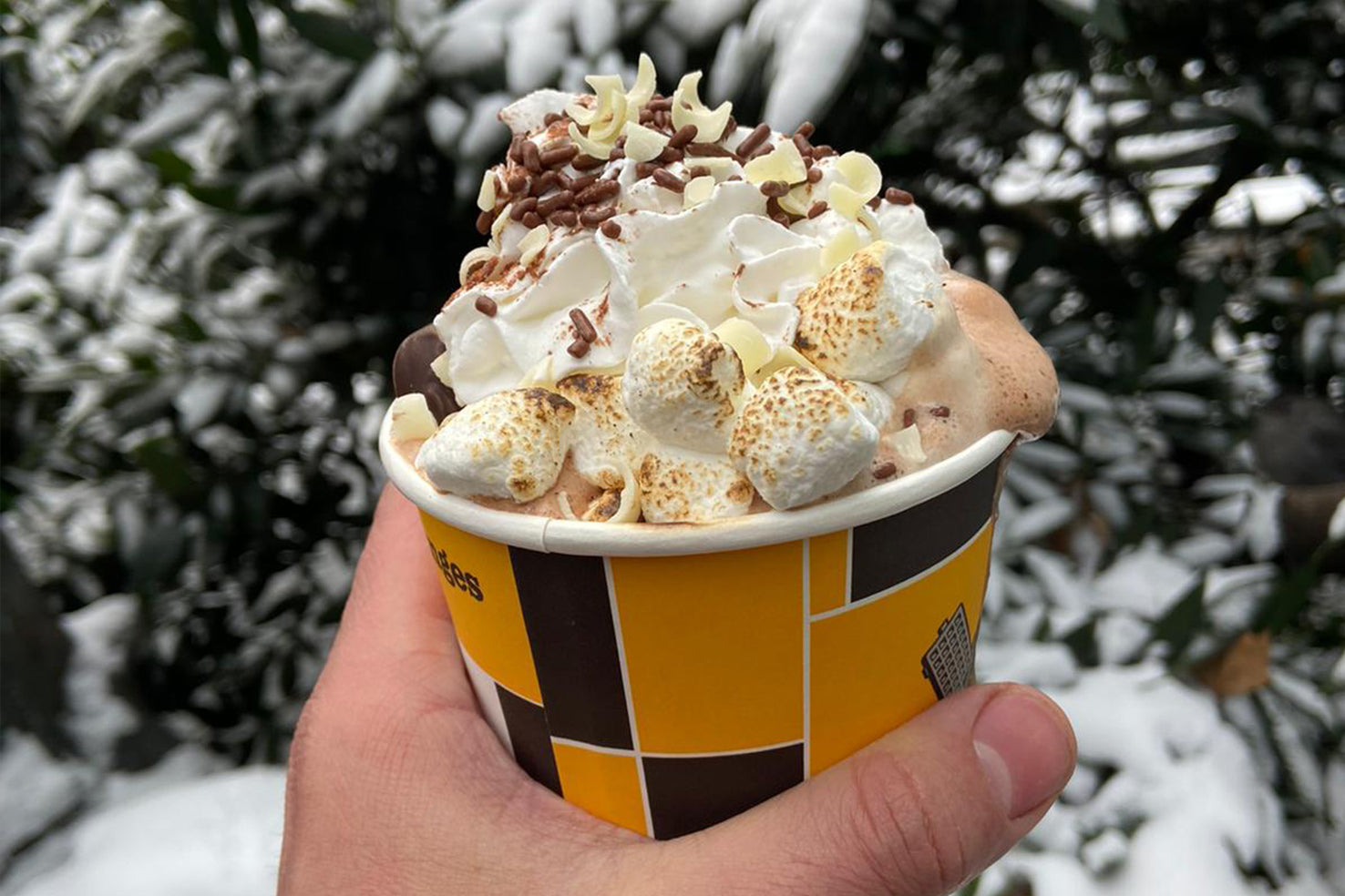 An ice cream cup in  winter season